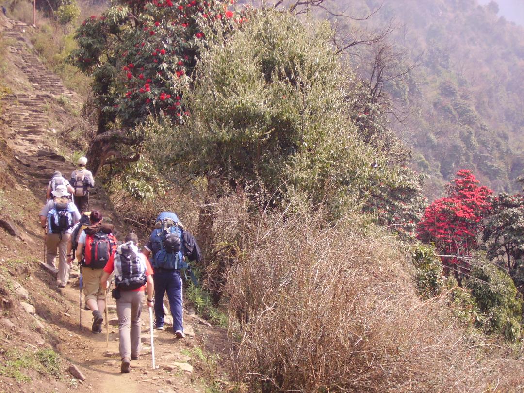 Everest Base Camp Trekking | Trekking In Nepal |